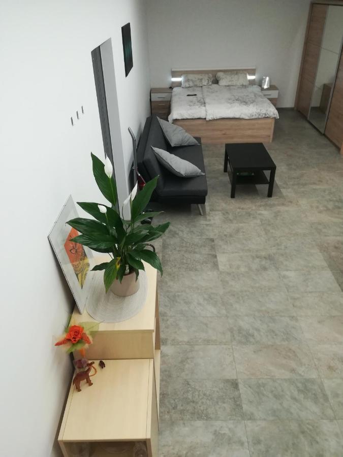 Place Near Casino Mond - Apartma Urska Sentilj Dış mekan fotoğraf
